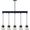Appalachian 5-Light Island-Light Home -Home Decor Store 3050562667 RLLD 1