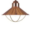 1-Light Dowd Pendant Home -Home Decor Store 3050816715 RLLD 1