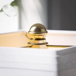 Kenroy Nathaniel Wall Swing Arm Lamp In Polished Brass 18 Kenroy Nathaniel Wall Swing Arm Lamp In Polished Brass -Home Decor Store 63688618 3