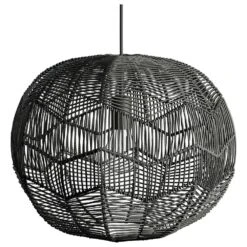 Kenroy Snaggle 1-Light Pendant In Black