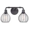 Kenroy Cagney 2-Light Vanity In Black